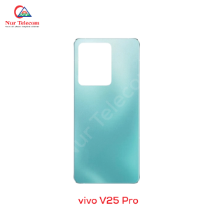 Vivo V25 Pro Backshell